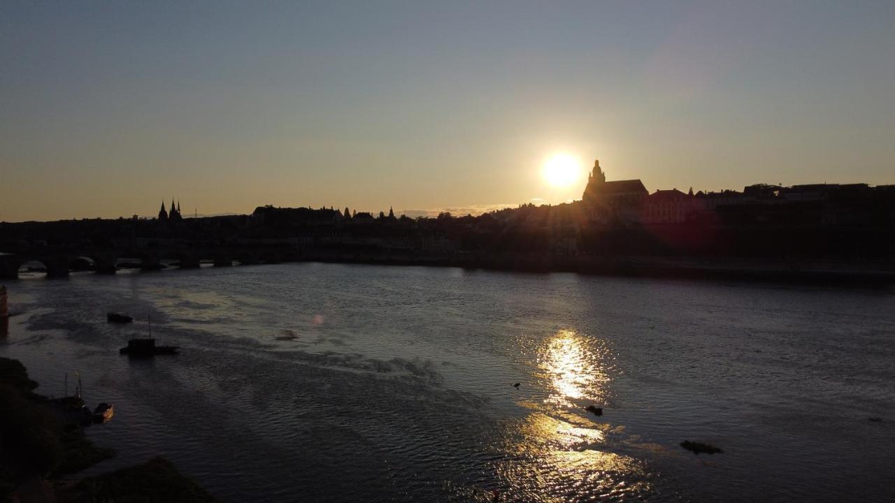 Apartment Le Wilson - Vue Imprenable Sur La Loire Et Le Chateau De *