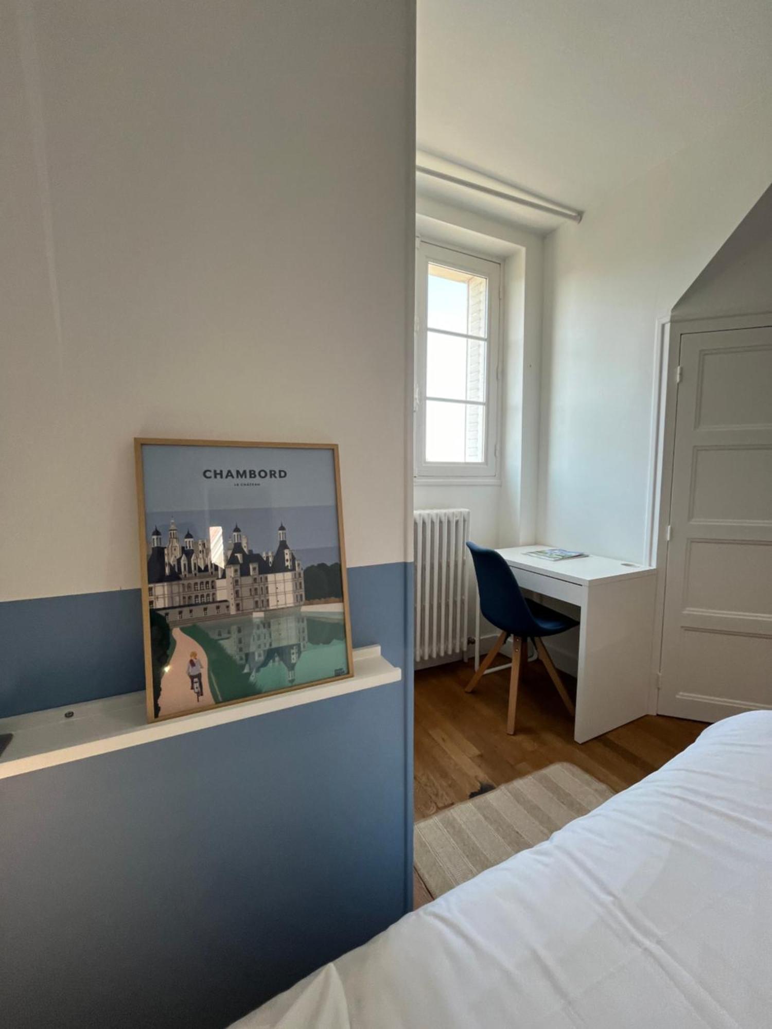 Le Wilson - Vue Imprenable Sur La Loire Et Le Chateau De