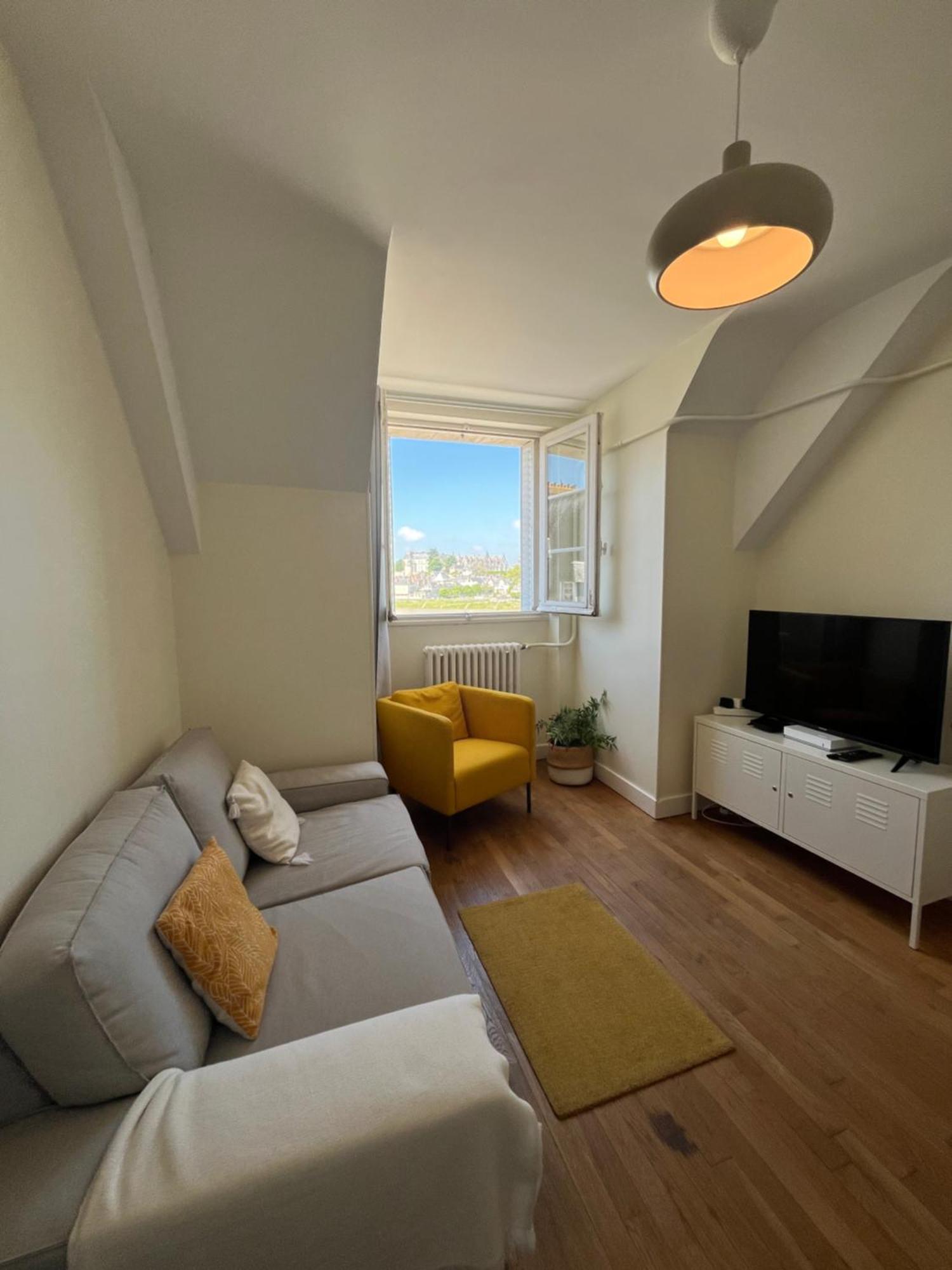 Le Wilson - Vue Imprenable Sur La Loire Et Le Chateau De Apartment