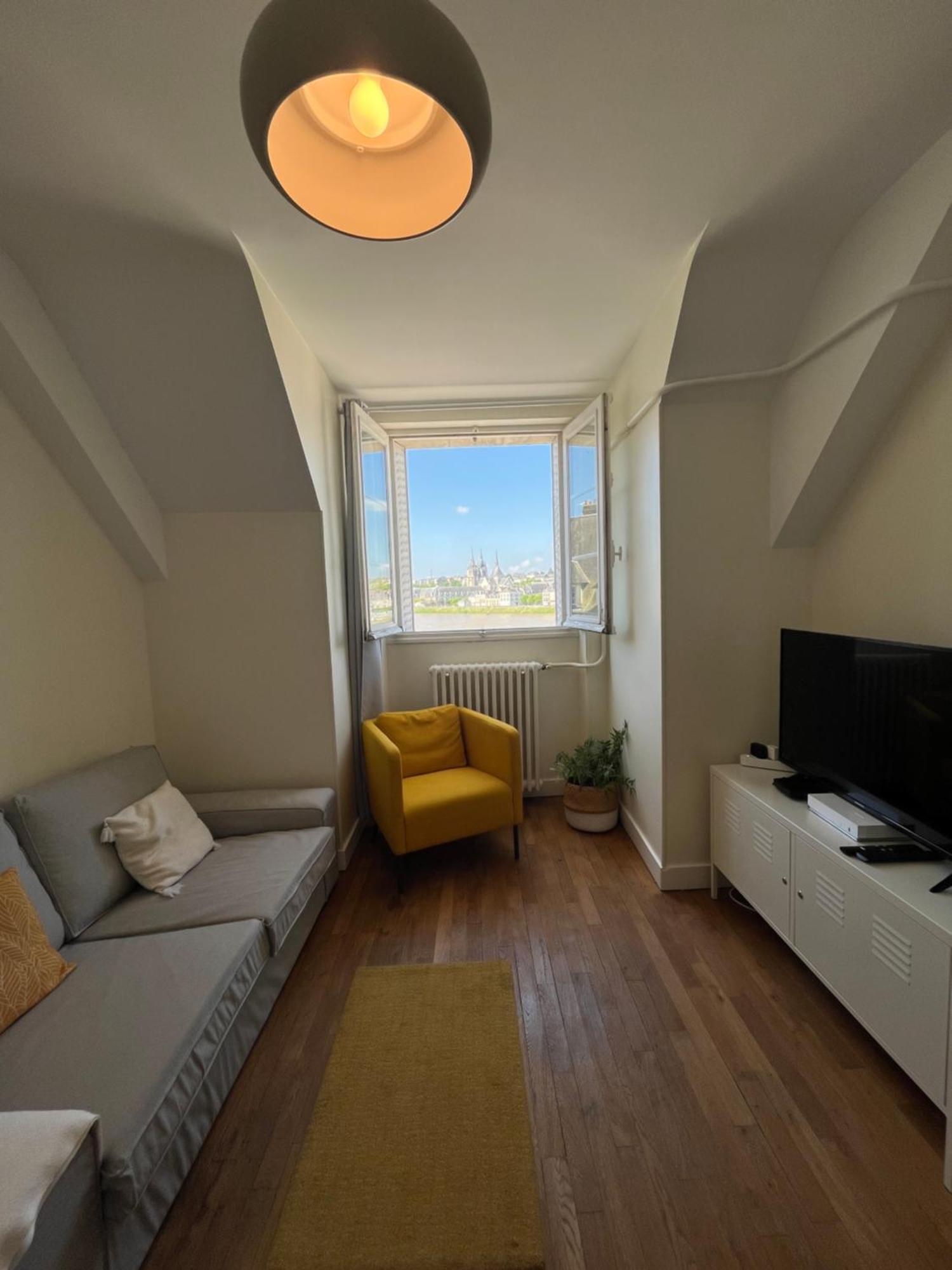 Le Wilson - Vue Imprenable Sur La Loire Et Le Chateau De Apartment *