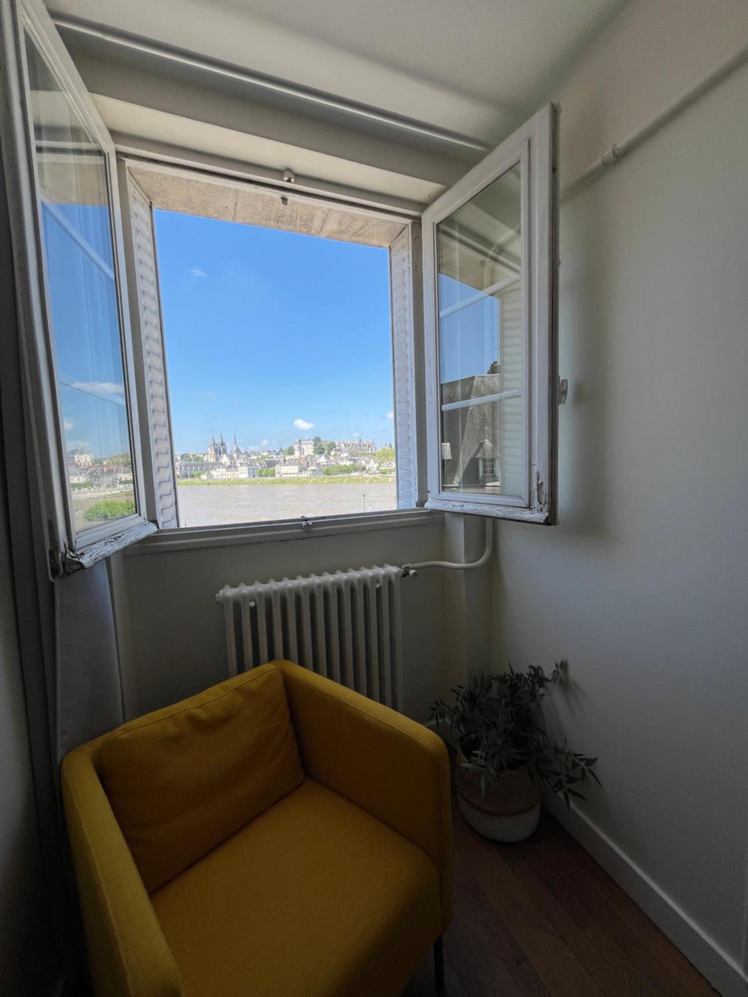 Le Wilson - Vue Imprenable Sur La Loire Et Le Chateau De Apartment *