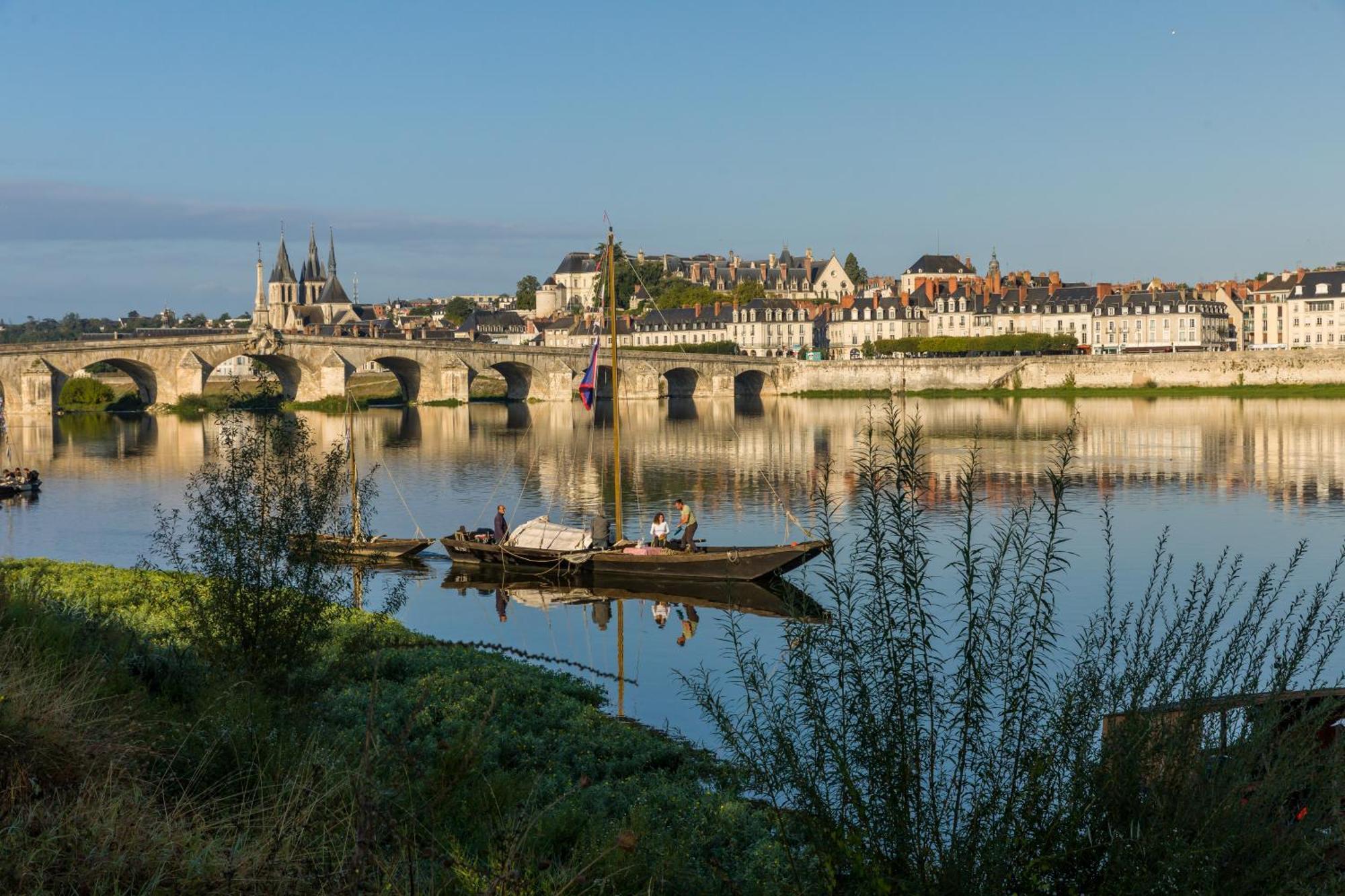 Apartment Le Wilson - Vue Imprenable Sur La Loire Et Le Chateau De *